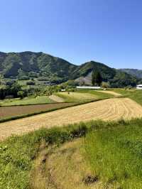美麗的高千穗農業遺產