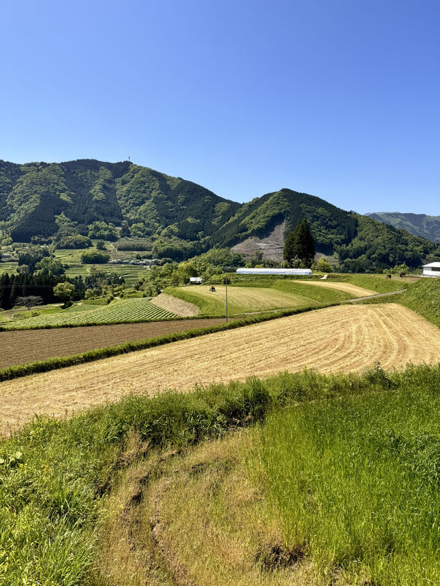 美麗的高千穗農業遺產