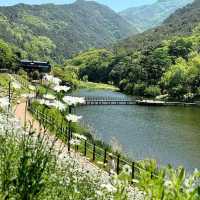 Jinbatgol forest park