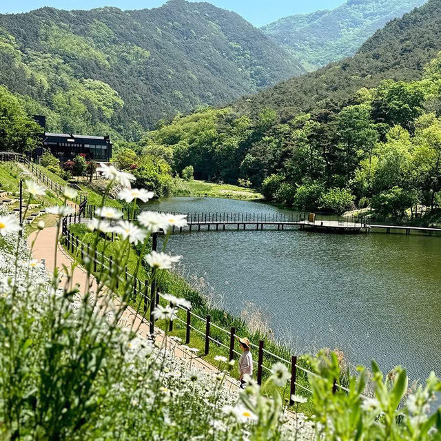 Jinbatgol forest park