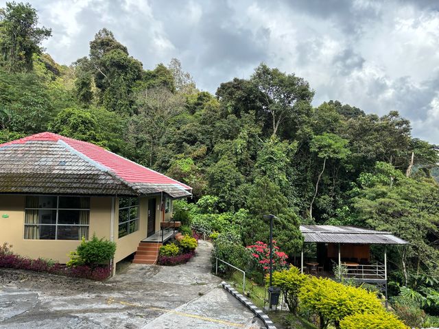 馬來西亞沙巴神山Mt. Kinabalu自由行