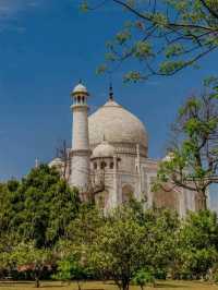 The Timeless Beauty of the Taj Mahal: A Journey to Eternal Love