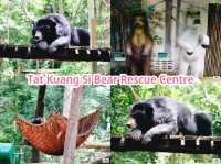 Tat Kuang Si Bear Rescue Centre