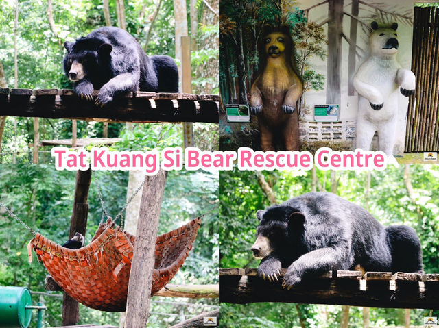 Tat Kuang Si Bear Rescue Centre