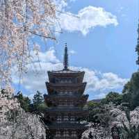 Temple that Big, Chill, and Super Scenic