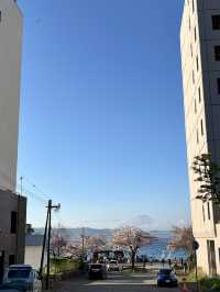 Spring at Lake Toya