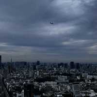 야경은 실패… 그래도 좋았던 시부야 스카이🏙️