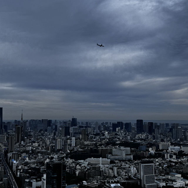 야경은 실패… 그래도 좋았던 시부야 스카이🏙️
