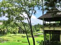 Four Seasons Resort Chiang Mai