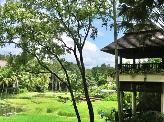 Four Seasons Resort Chiang Mai