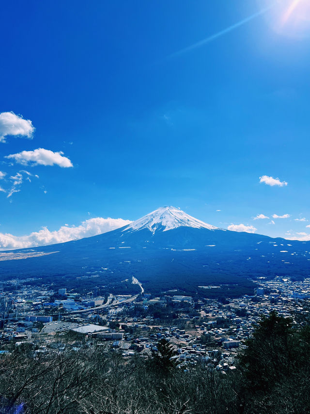 ［東京旅遊］天上山公園-搭乘纜車🚡遠眺富士山🗻風光