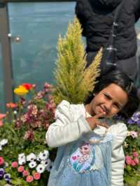 Seongnam: A Harmonious Blend of Tradition and Modernity