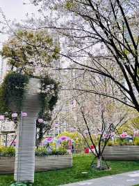 Cherry Blossoms in Concrete Dreams: A Spring Glimpse at 1000 Trees, Shanghai