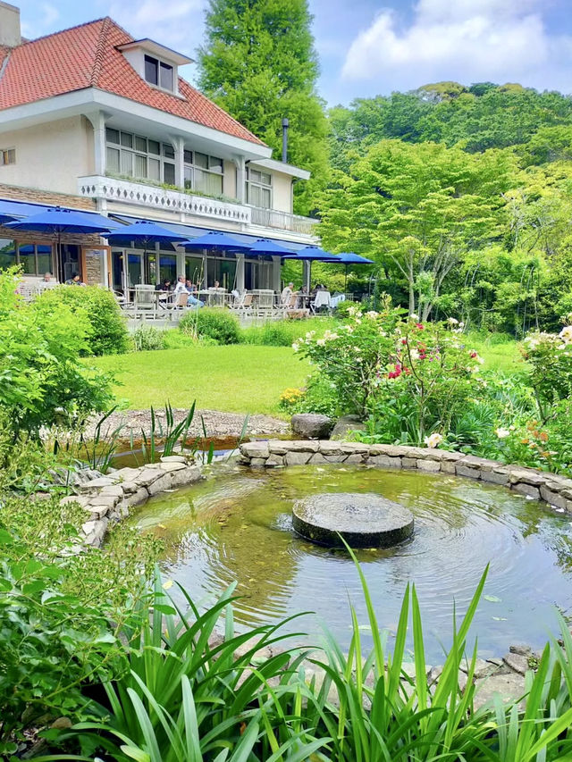 Early Summer Wandering in Kamakura – Flowers, Temples & Garden Lunches 