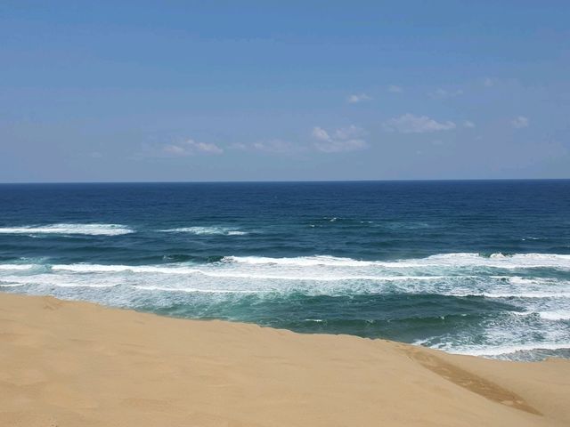 일본 돗토리 사구🏜
