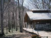 ⛰️ 上高地（かみこうち）：日本アルプスの絶景が広がる神秘の山岳リゾート 🌲🌄