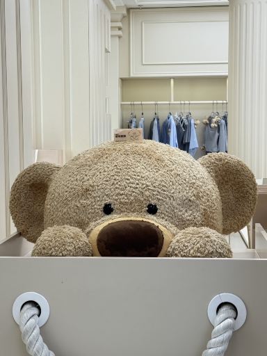 13DE MARZO Café – The cutest bear-themed café | Trip.com Shanghai