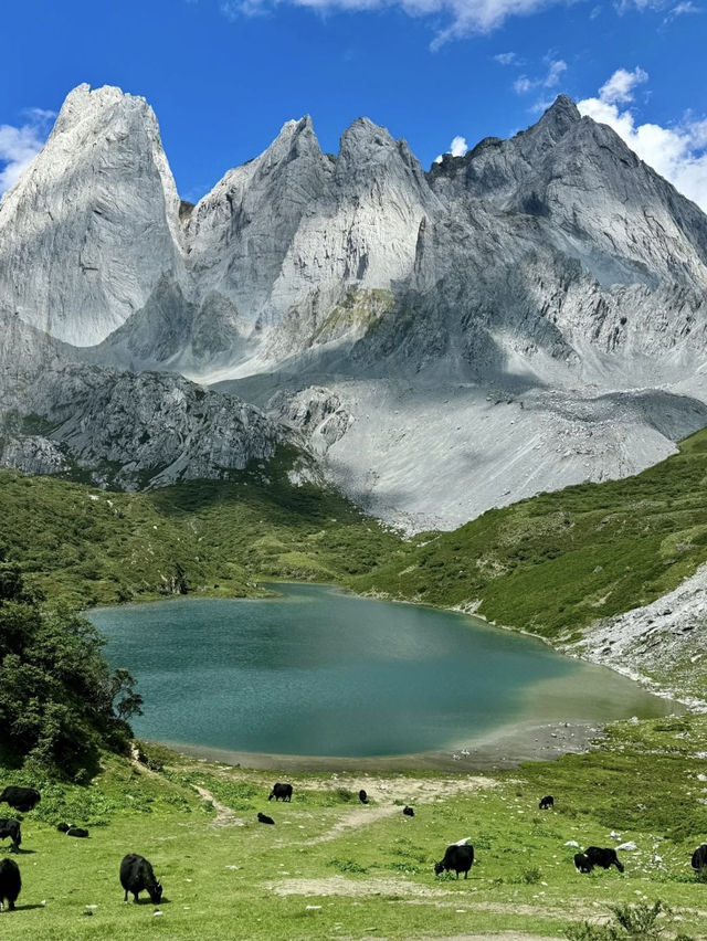 🌄 阿布吉措徒步初體驗｜走進雪山與湖泊交織的天堂