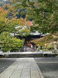 Shuzenji – A Peaceful Escape into Traditional Japan