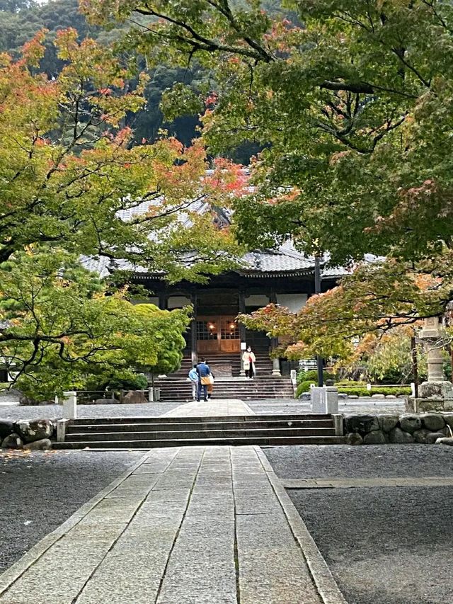 Shuzenji – A Peaceful Escape into Traditional Japan