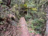 A Hike to Remember in Thimphu -Kuenselphodrang National Park