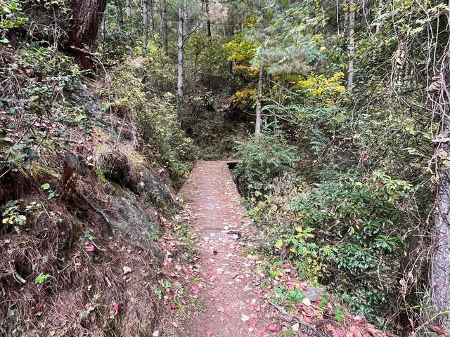 A Hike to Remember in Thimphu -Kuenselphodrang National Park