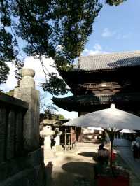 : 「港女征服金刀比羅宮！785級天梯爬上去你可以實現願望+神馬禁摸令 附商店街停車費回贈秘技🇯🇵」**    ---