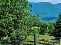 Skyline Adventures: Hiking Through Shenandoah’s Blue Ridge Beauty