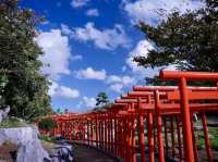 The Wonderful Gem in Aomori Pref.