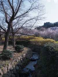 東海道新幹線：大阪去福島只需四小時