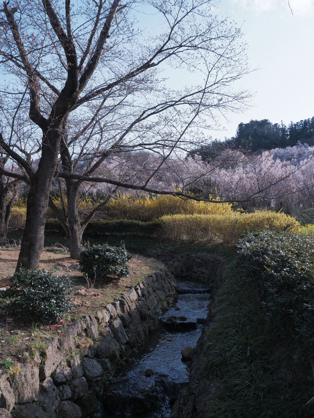 東海道新幹線：大阪去福島只需四小時
