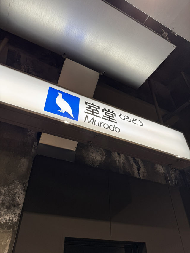 名古屋、下呂市、飛驒高山及更多地區的8日行程
