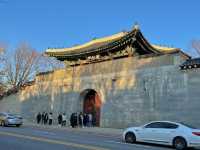 🏯 경복궁 하루 코스 추천🎐 서울 도심 속 조용한 힐링 