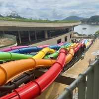 香港海洋公園水上樂園| 尖叫與清涼並存的夏日天堂！🌊🎢