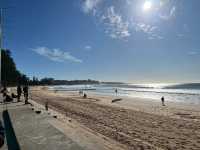 Manly to Shelly Beach – A Coastal Walk Worth Slowing Down For