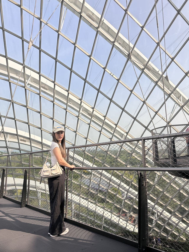 แหล่งท่องเที่ยวยอดฮิต Garden by the bay 🇸🇬