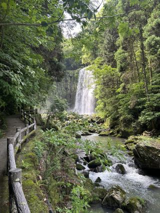 Sakura Falls: The No.1 Hidden Waterfall You Can Easily Visit in Hita, Oita Prefecture