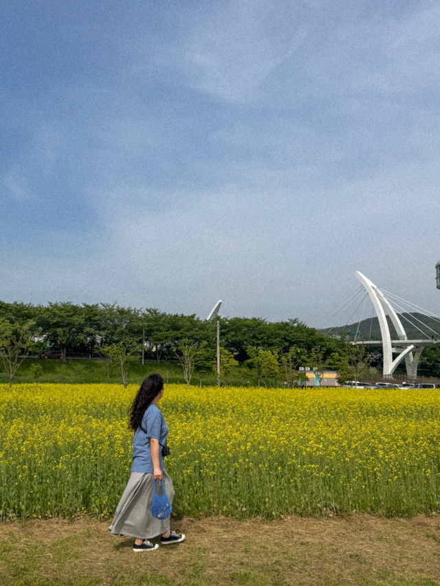 부산 근교, 산책하기 좋은 대규모 강변공원 추천