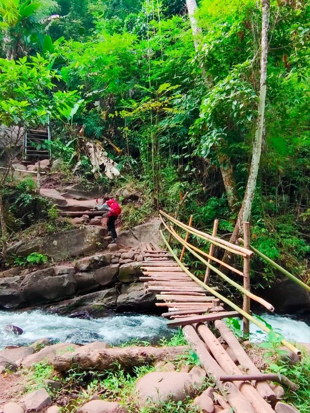 เดินป่าหน้าฝน อุทยานแห่งชาติภูสอยดาว อุตรดิตถ์