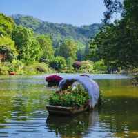 仙湖植物園端午行：尋古寺鐘聲·探萬株綠意
