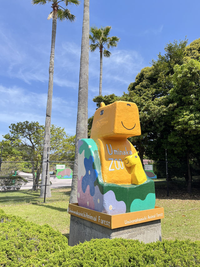 🦘 후쿠오카에서 자연과 동물을 함께 즐기는 힐링 스팟, 우미노나카미치 동물의 숲