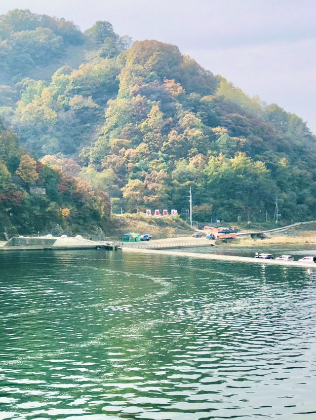 보령여행 고민한다면, 꼭 한번 가보세요!🚘