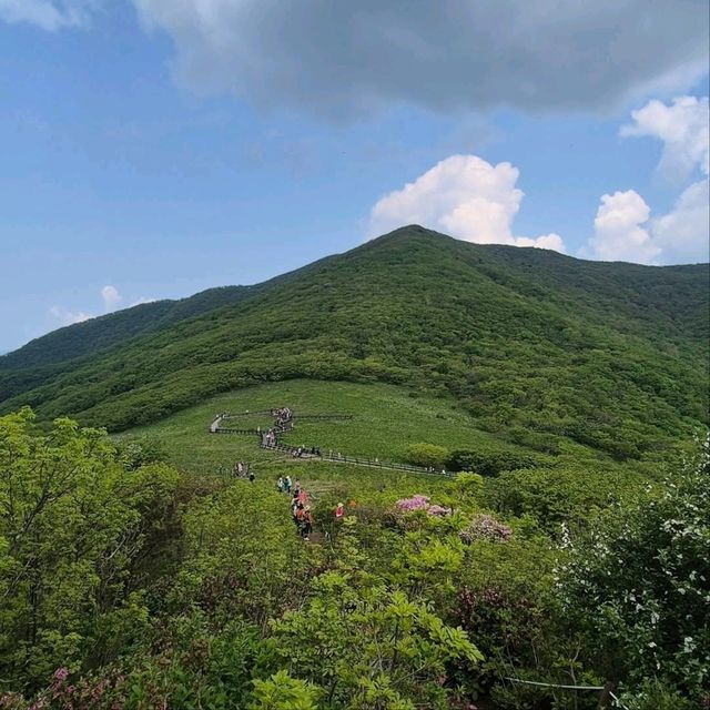 Rolling Hills & Peaceful