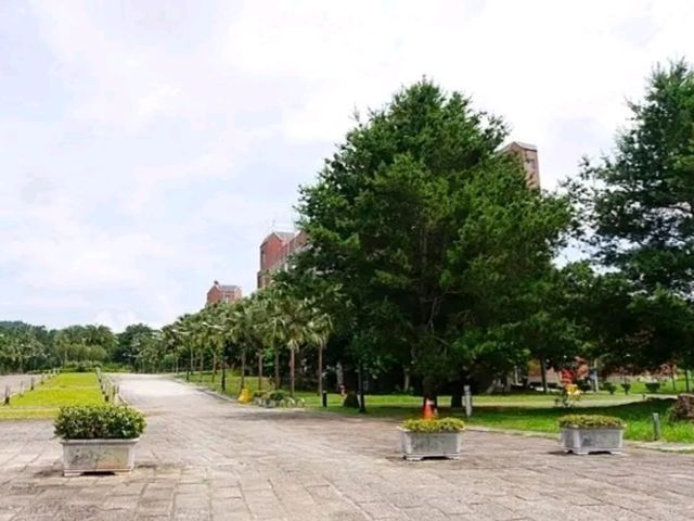 暨南校園內的步道上微風輕拂、櫻花隨風搖曳彷彿置身歐洲莊園般浪漫