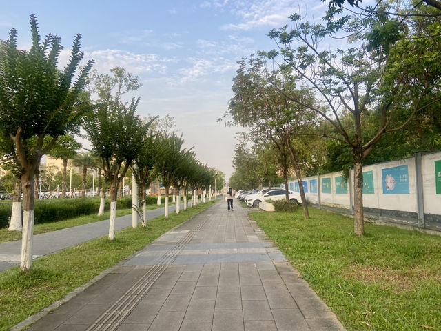 美生睡蓮酒店🏩✨舒適清幽入住體驗🌿 美生睡蓮酒店🏩✨舒適清幽入住體驗🌿