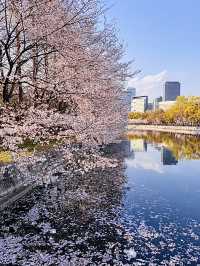 โอซาก้า🇯🇵
