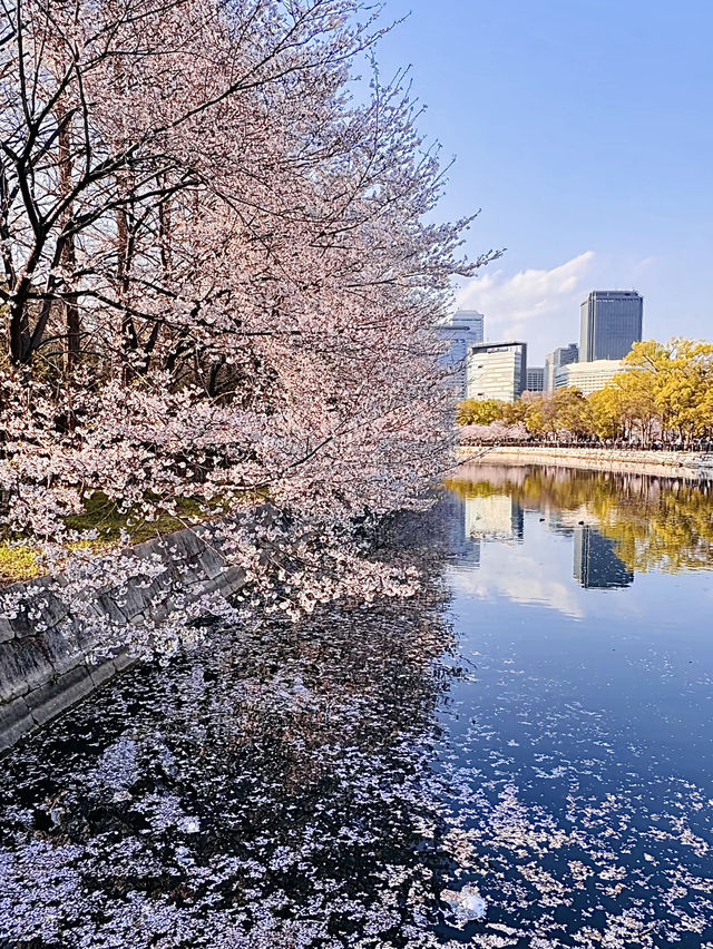 โอซาก้า🇯🇵