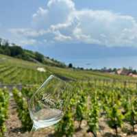 Lavaux Vineyard Terraces: A Summer Paradise of Sun, Wine & Alpine Views