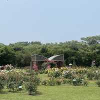 Flower Hill - Uminokamichi Seaside Park 
