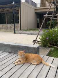 The gallery hotel Naihan 